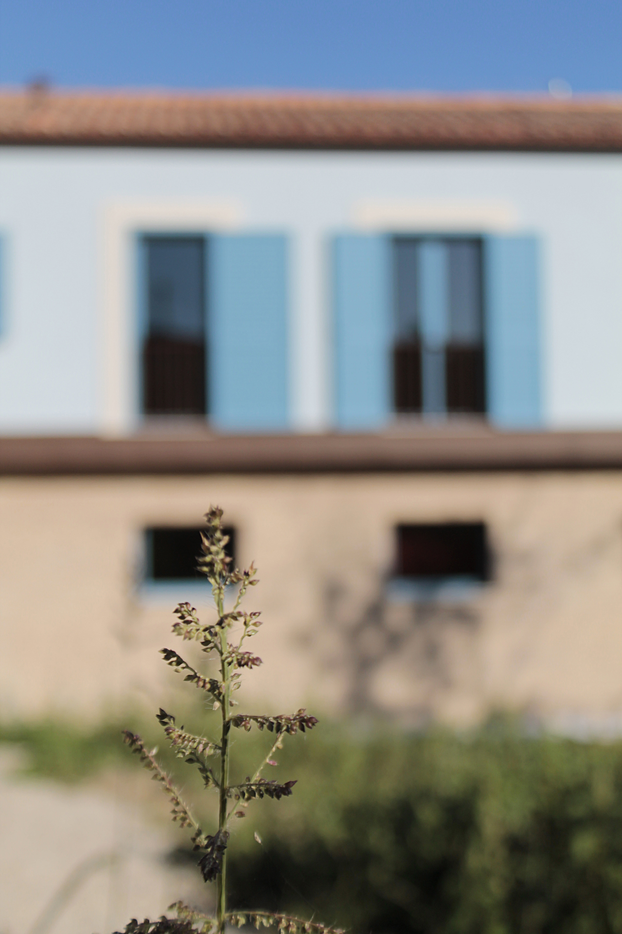 Casa di campagna - esterno - dettaglio del prospetto est con intonaco azzurro, rivestimento basamentale in mattoni e dettagli in lamiera effetto acciaio corten - mattina di sole