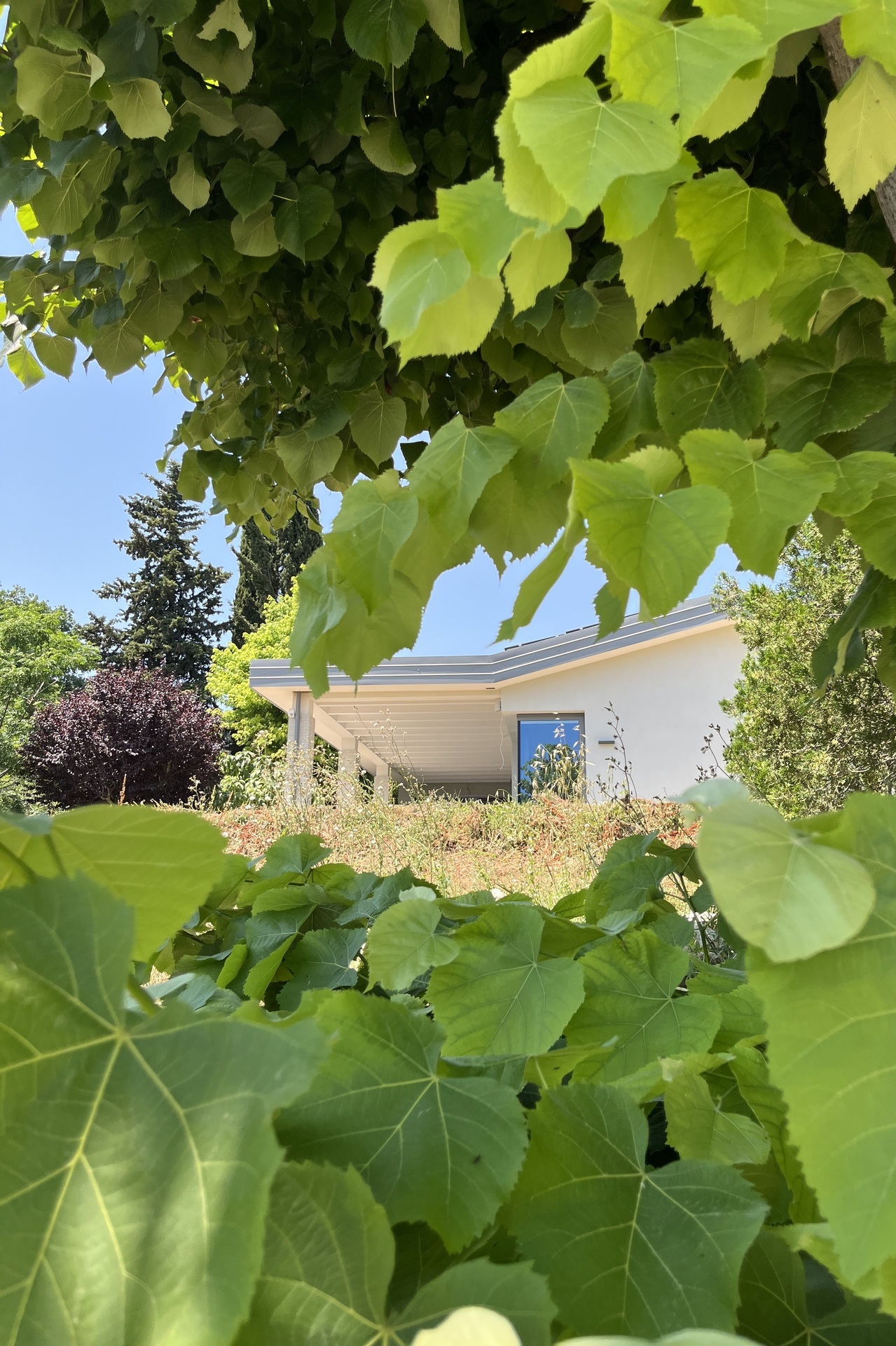 MorenofarinaStudio_refurbishment_ristrutturazione_countryhouse_casadicampagna_1